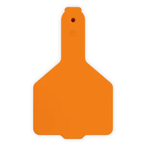 ACCALF1--Orange LEADER 1 Piece Calf Tag