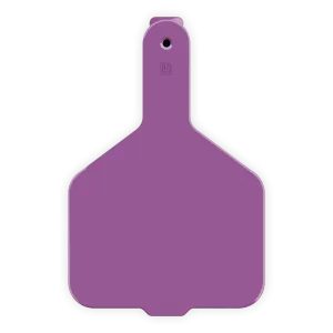 ACCOW1-Wide Nk-Purple LEADER 1 Piece Cow Tag 25's
