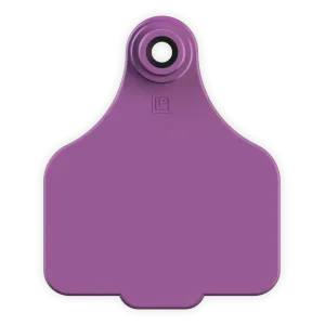 ACLARGE--Purple LEADER 2 Piece LARGE Tag 25's w/buttons