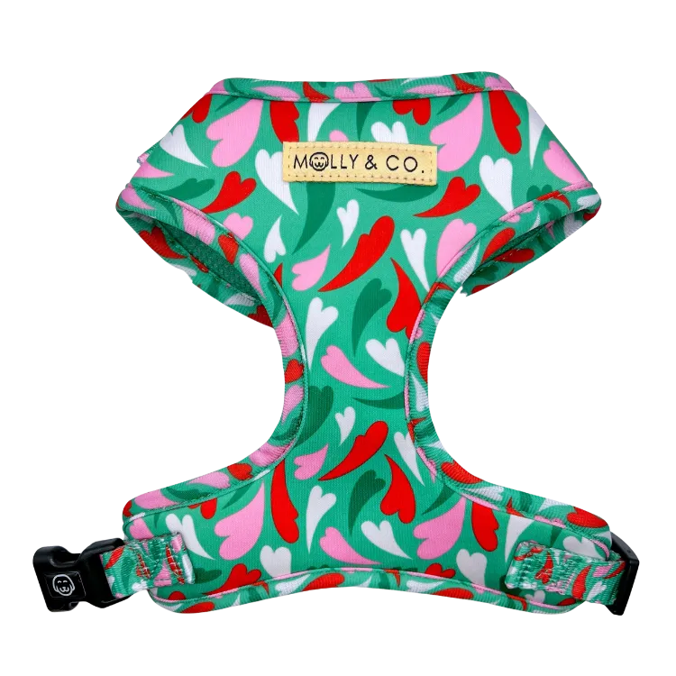 Amore - Walking Bundle