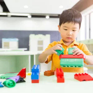 Child Development for Caretakers - COS211