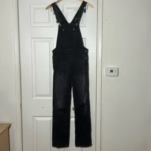 Citizens Of Humanity Distressed Overall XS