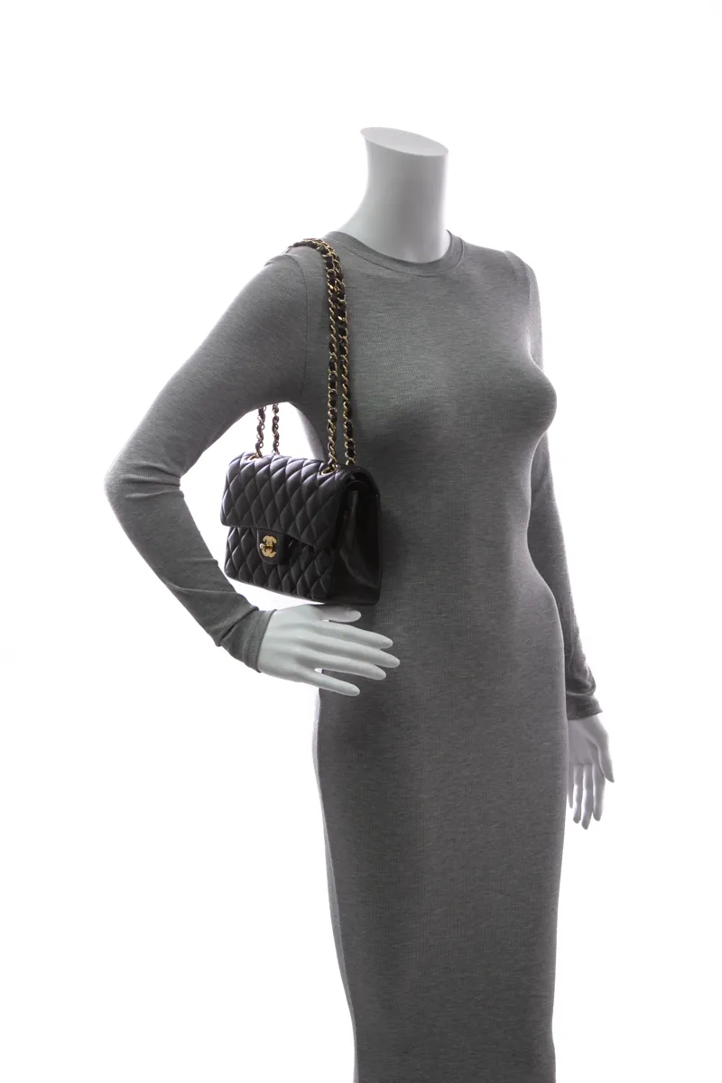 Classic Small Double Flap Bag