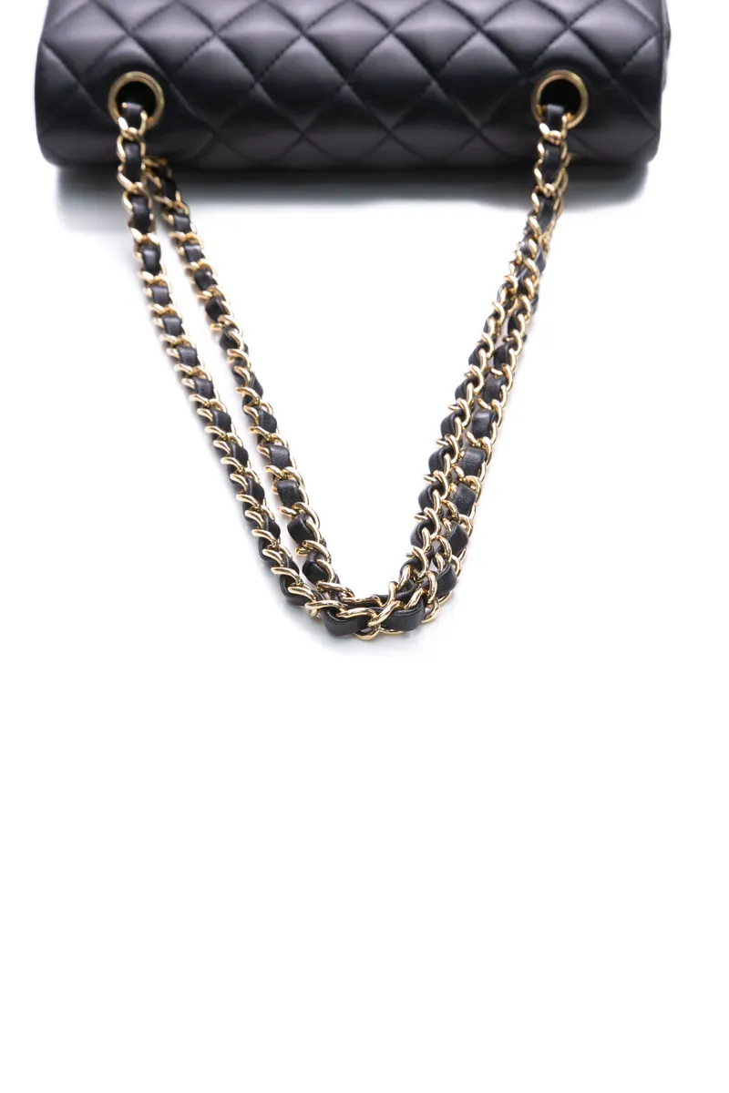 Classic Small Double Flap Bag