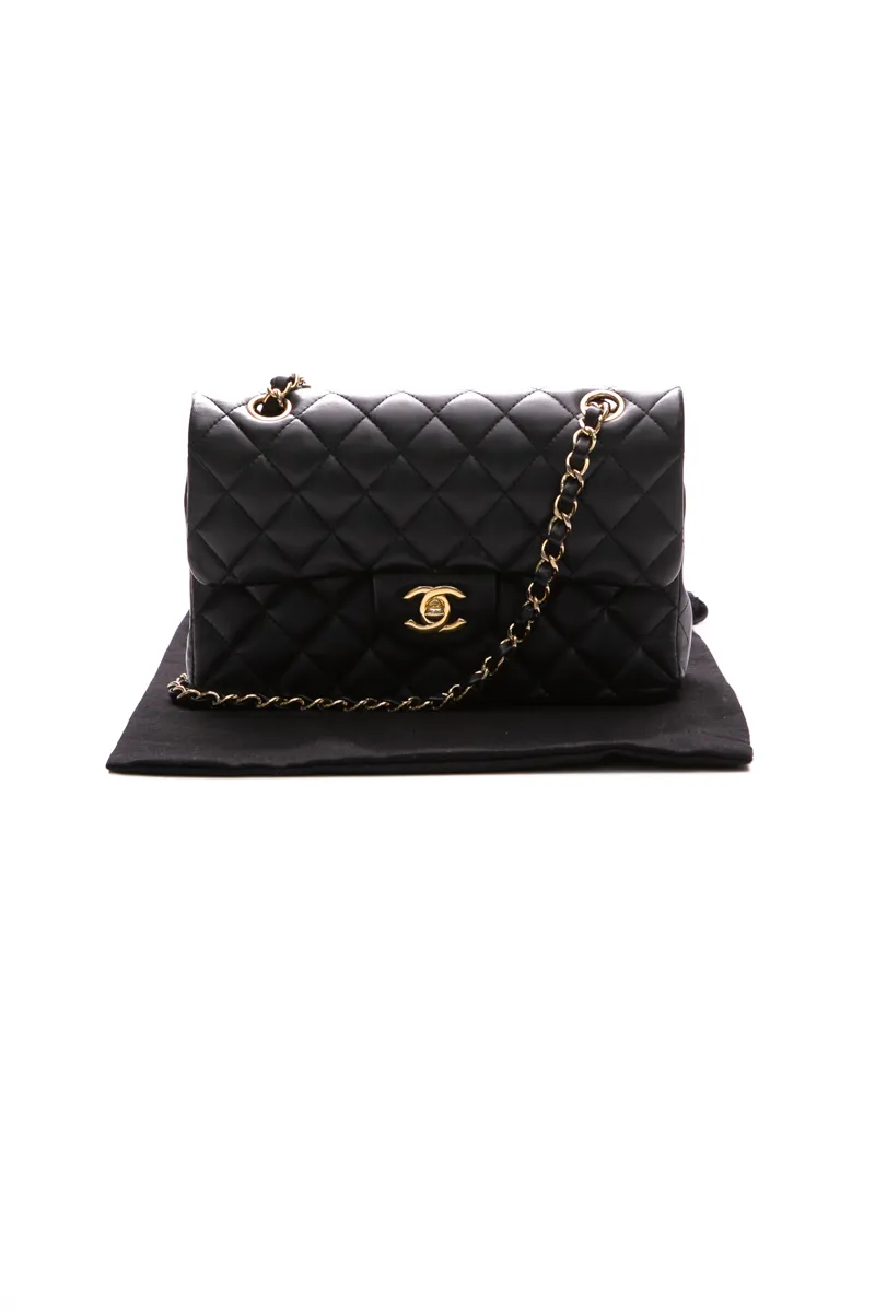 Classic Small Double Flap Bag