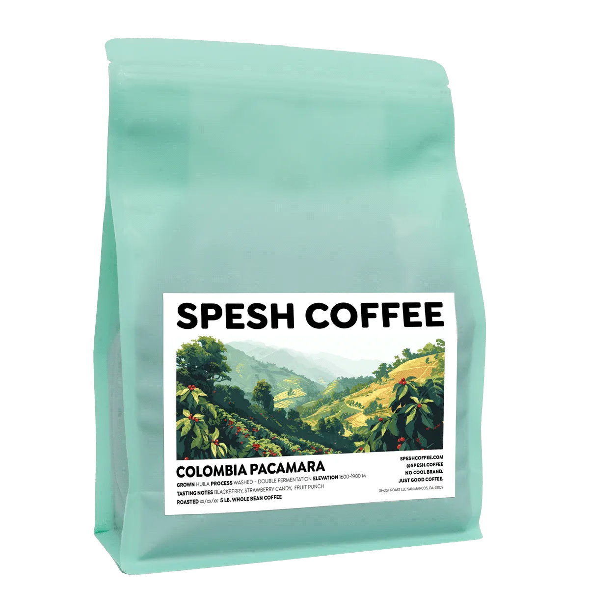 Colombia Pacamara