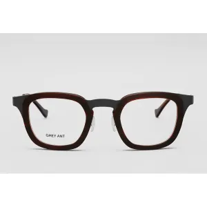 DIETER: AMBER TORTOISE