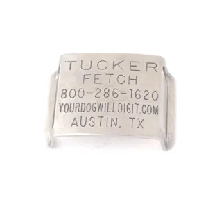 Double Thick CollarTag For Standard Buckle Collars