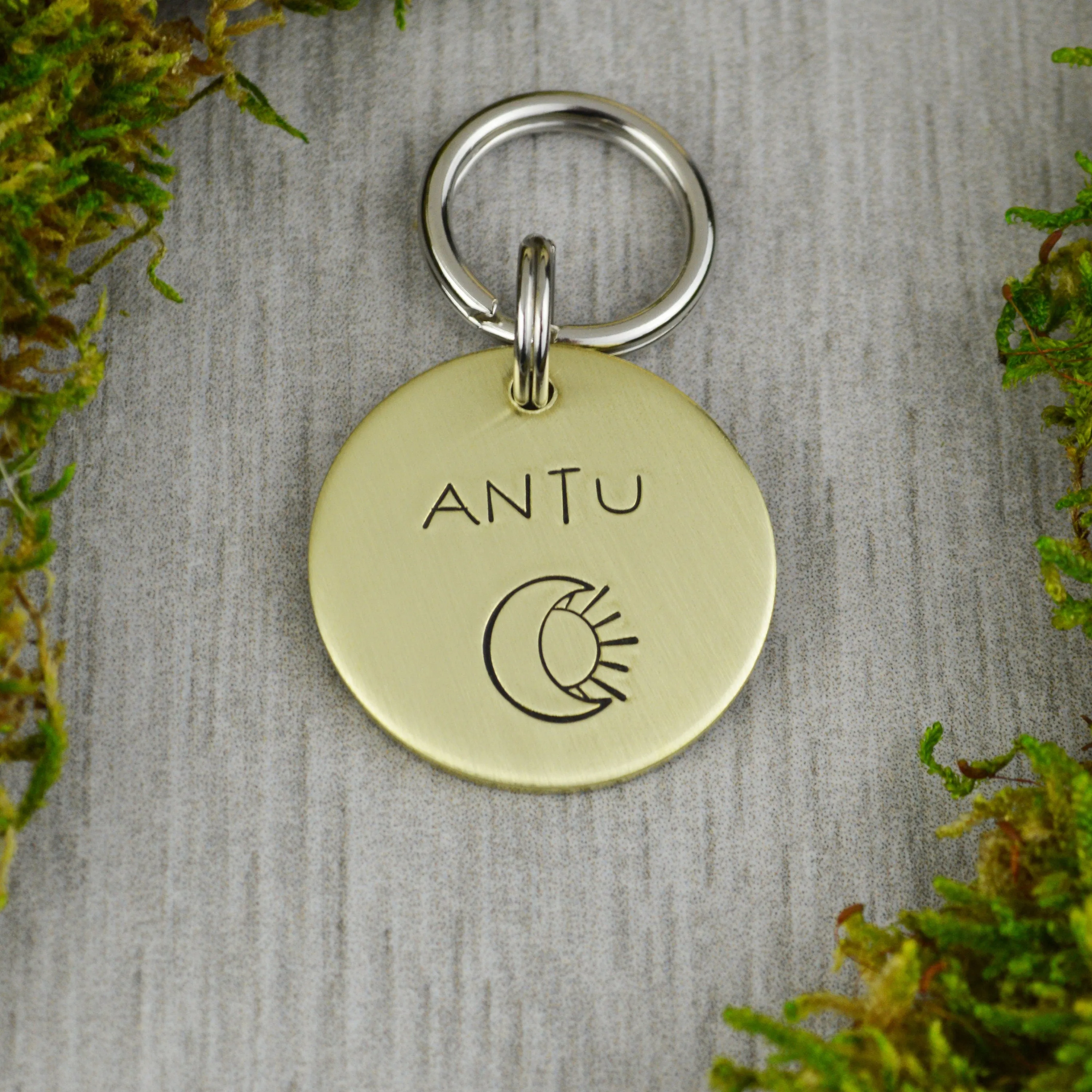 Eclipse Pet ID Tag