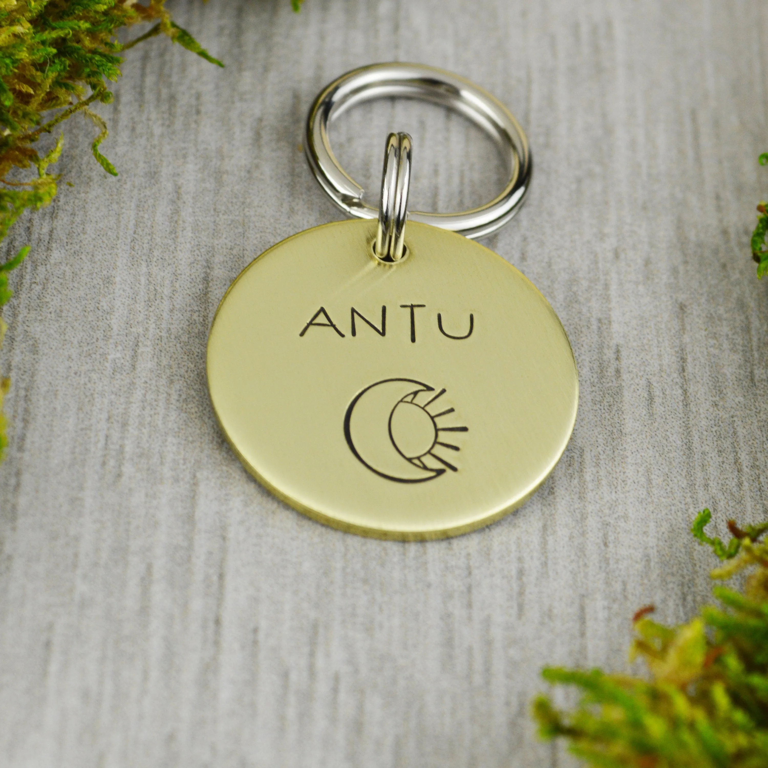 Eclipse Pet ID Tag
