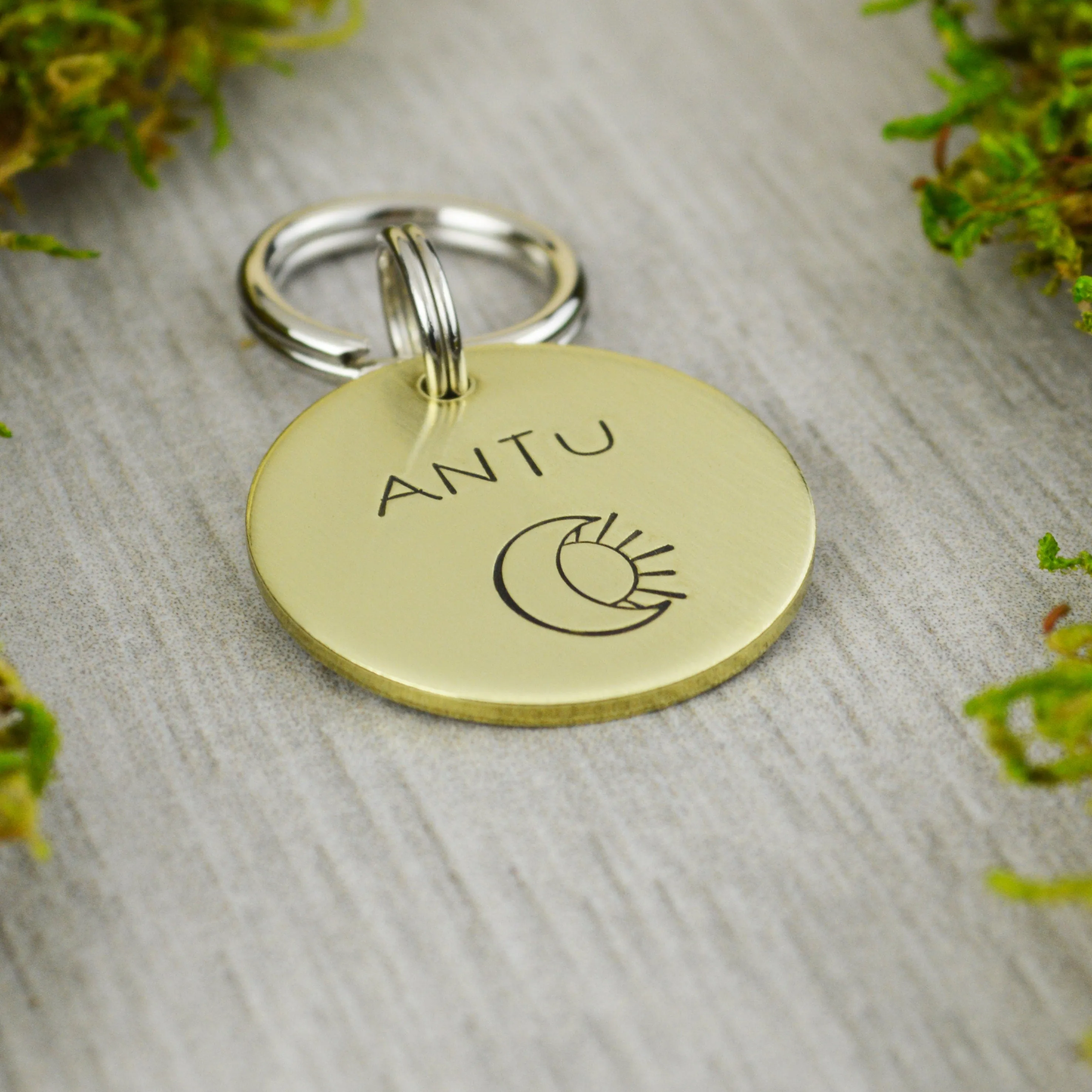Eclipse Pet ID Tag