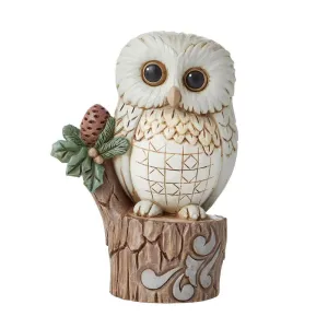 EP7393-JS OWL : 4 in H