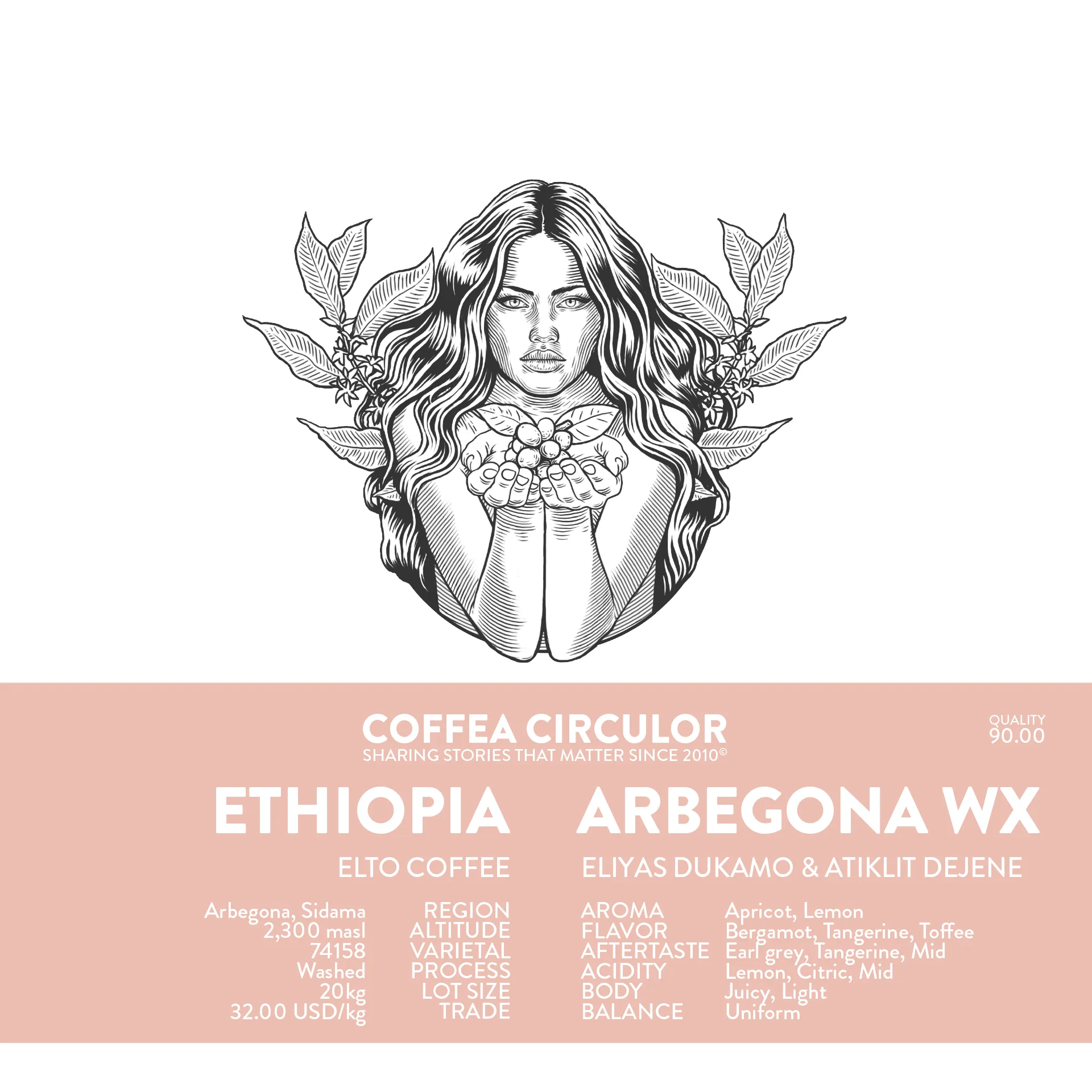 ETHIOPIA Elto Arbegona Washed WX