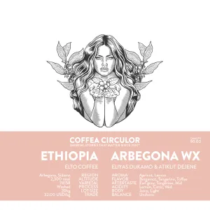 ETHIOPIA Elto Arbegona Washed WX