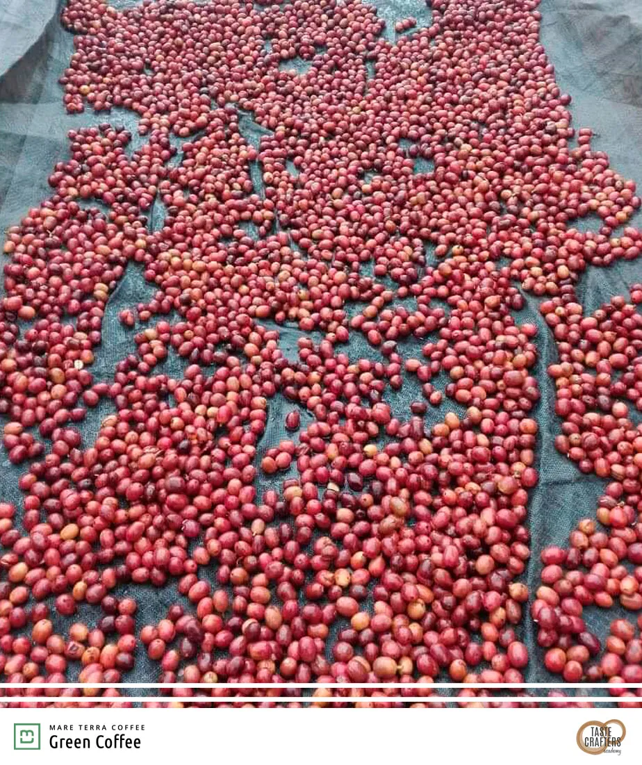GUATEMALA TATA NAHUAL 250G