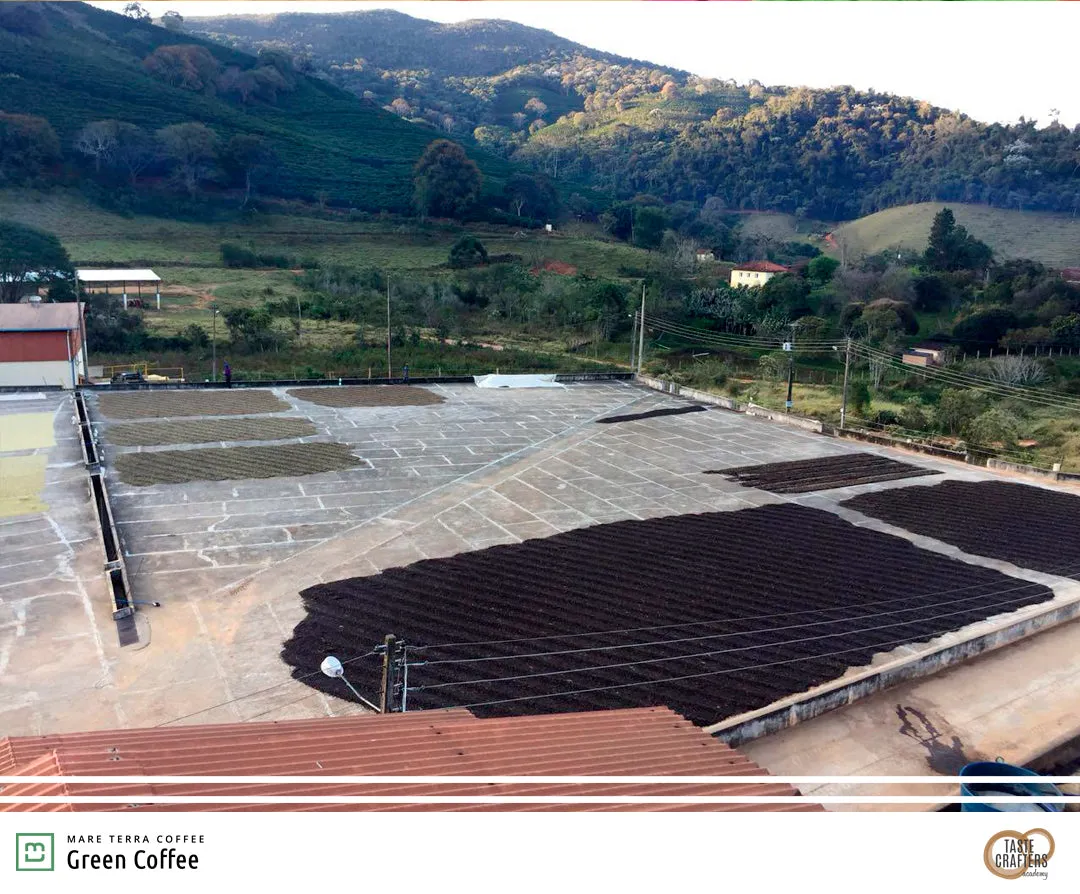 GUATEMALA TATA NAHUAL 250G