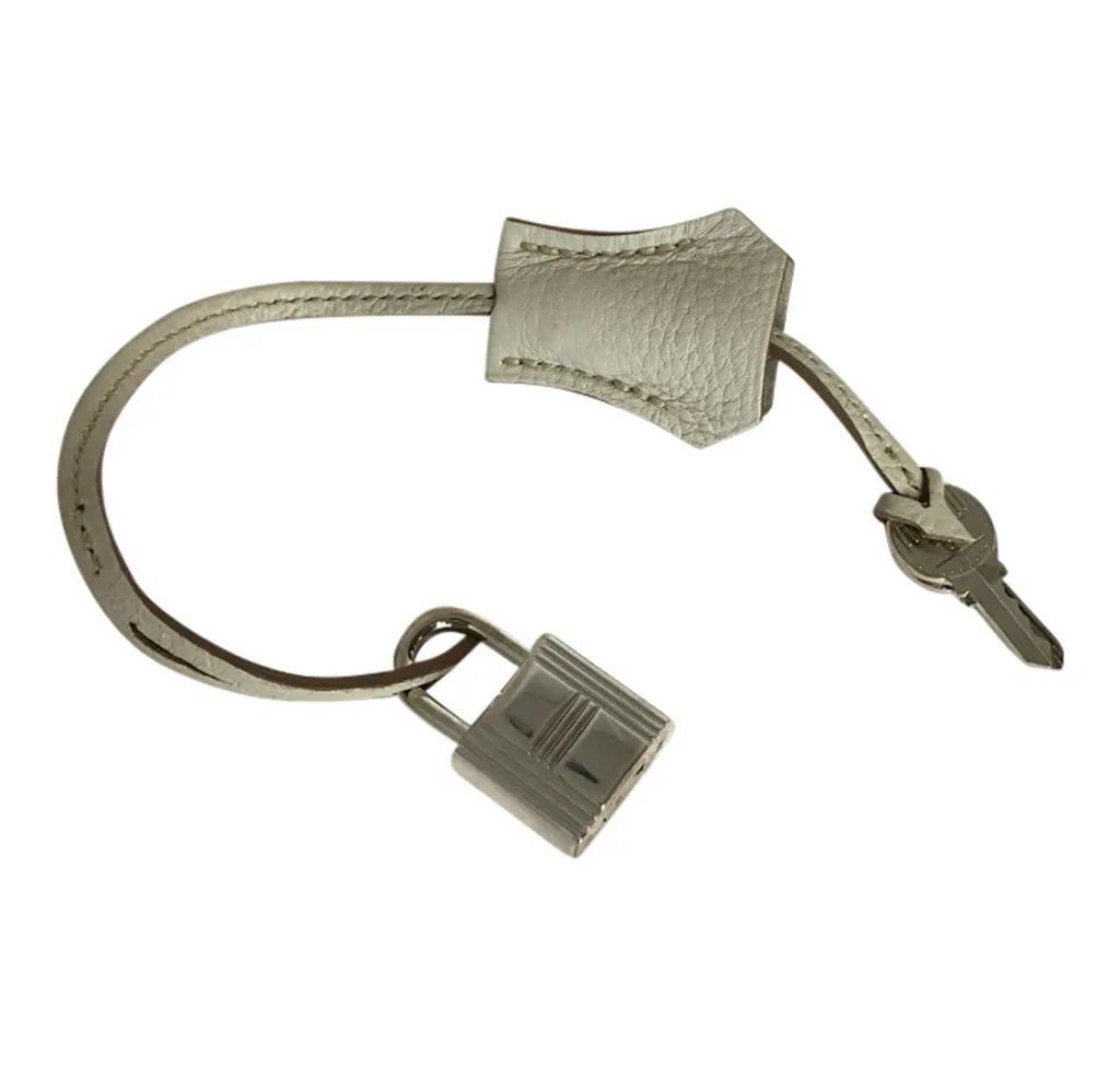 Hermès Birkin 30 Gris Perle Togo PHW