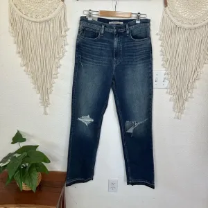 Hudson Dark Wash Distressed Denim Jeans size 28