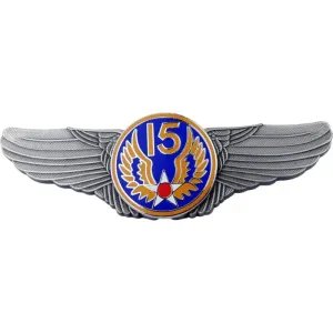 INSIGNE MILITAIRE - ARMÉE DE L'AIR AMÉRICAIN