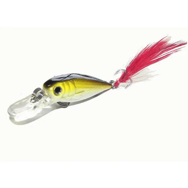 Kamikaze 4 pack with Lure Bag - Lucinda B