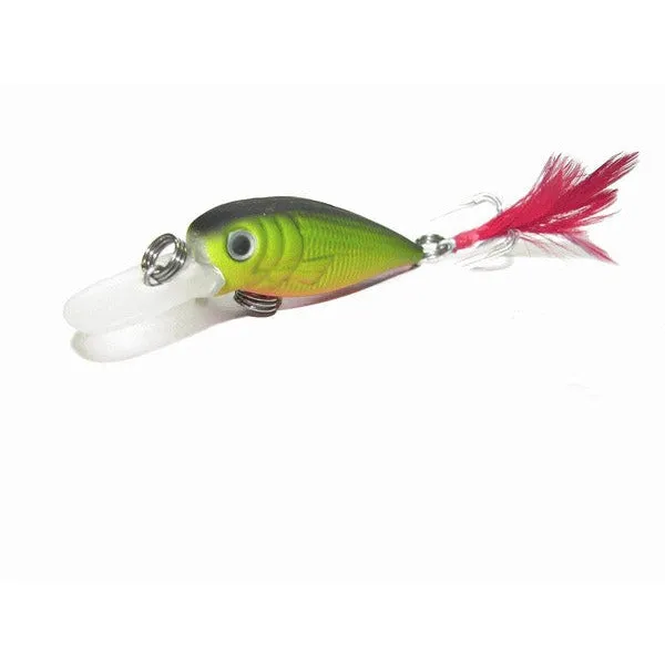 Kamikaze 4 pack with Lure Bag - Lucinda B