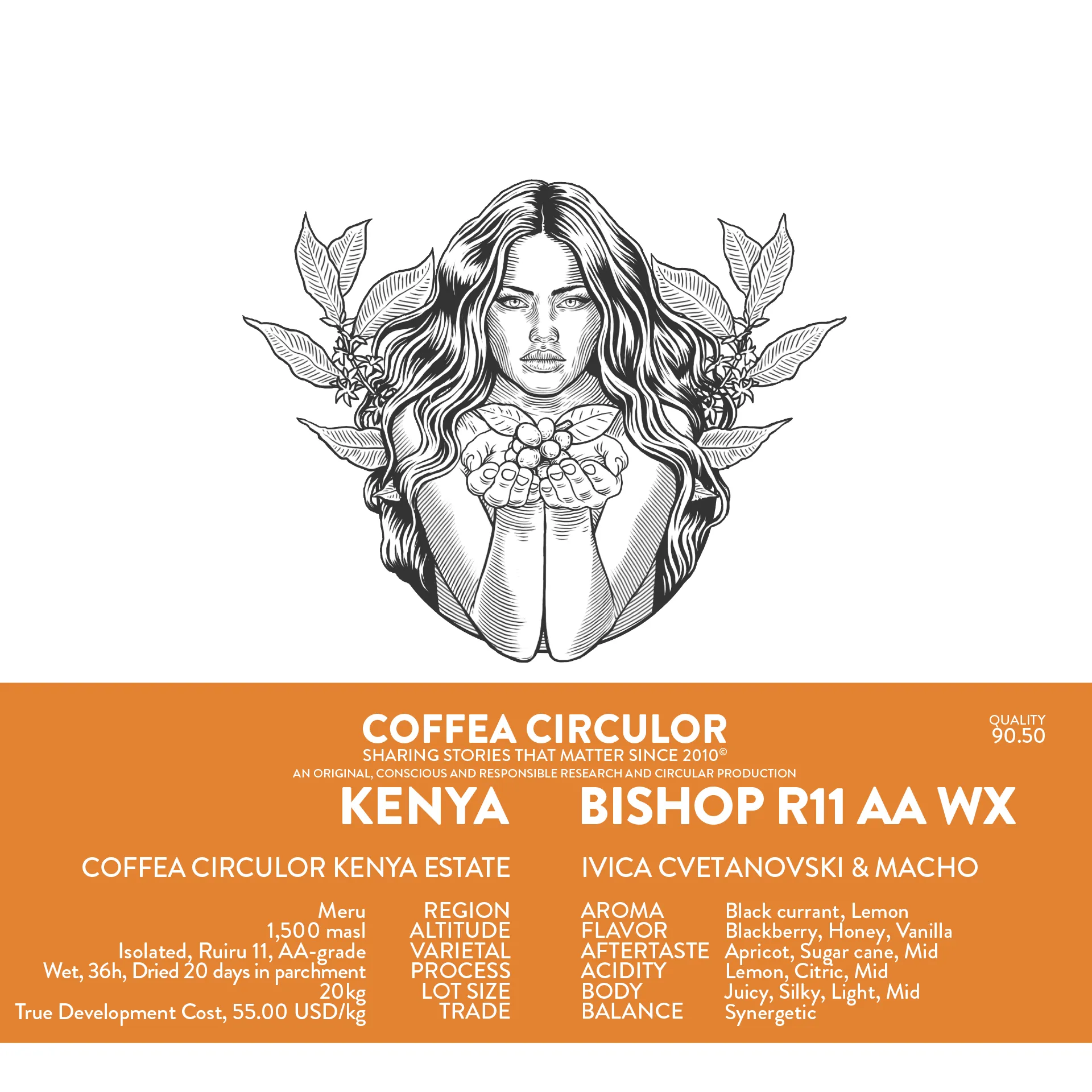 KENYA Coffea Circulor Bishop Isolated Ruiru 11 AA Washed WX