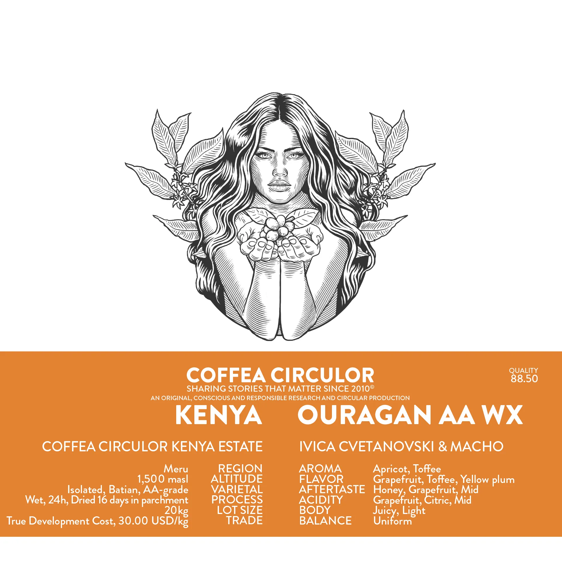 KENYA Coffea Circulor Ouragan Isolated Batian AA Washed WX