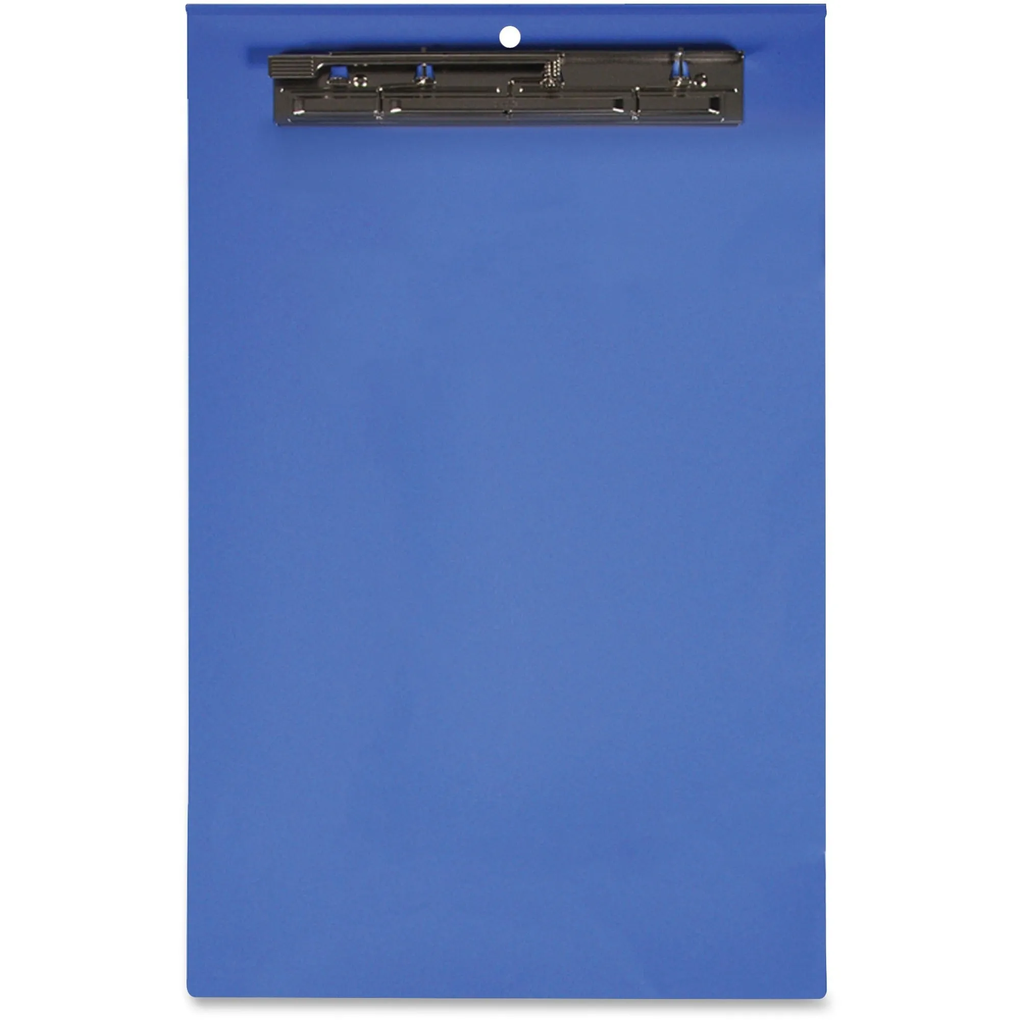 Lion Computer Printout Portrait Clipboard