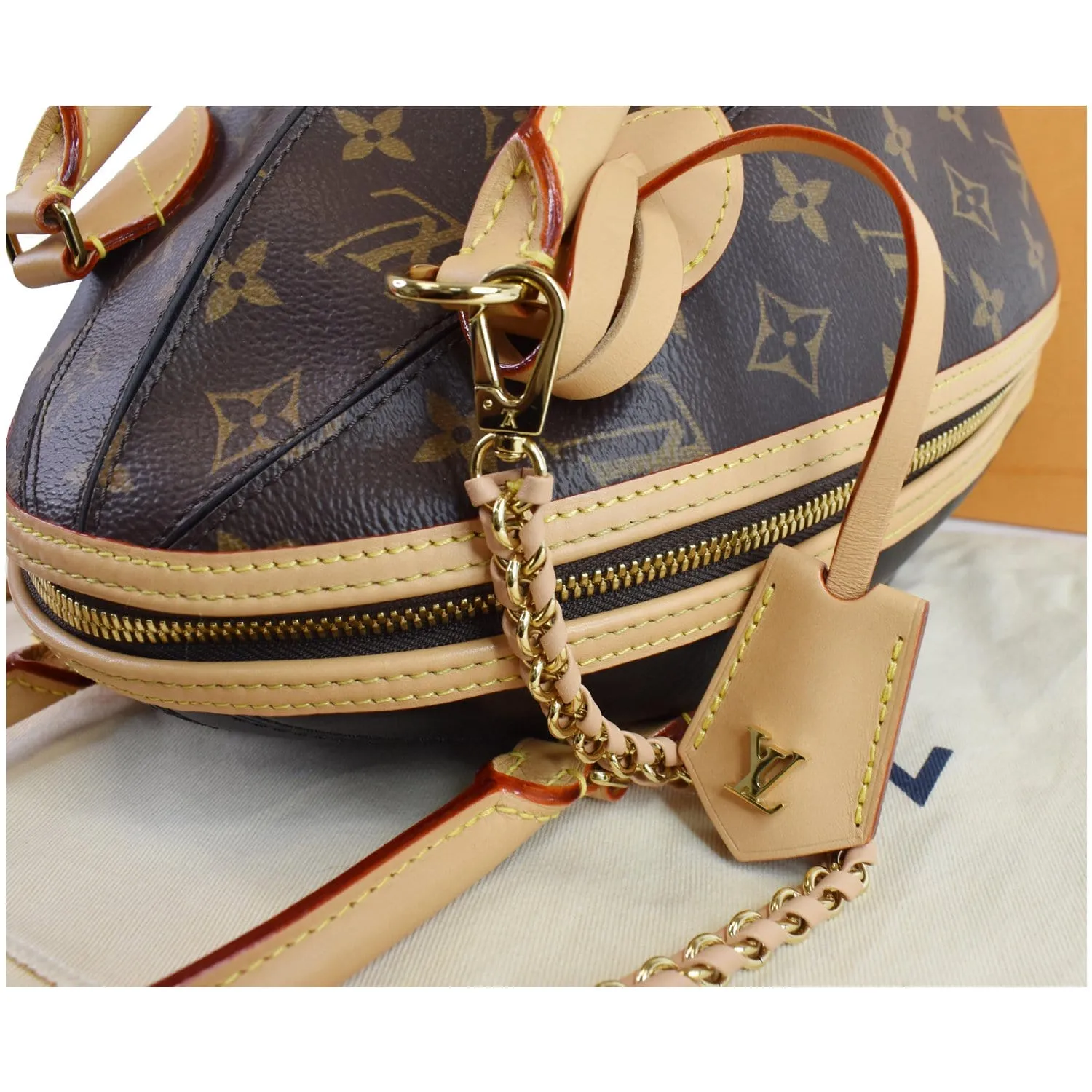 LOUIS VUITTON LV Egg Souple Monogram Canvas 2way Shoulder Bag Brown