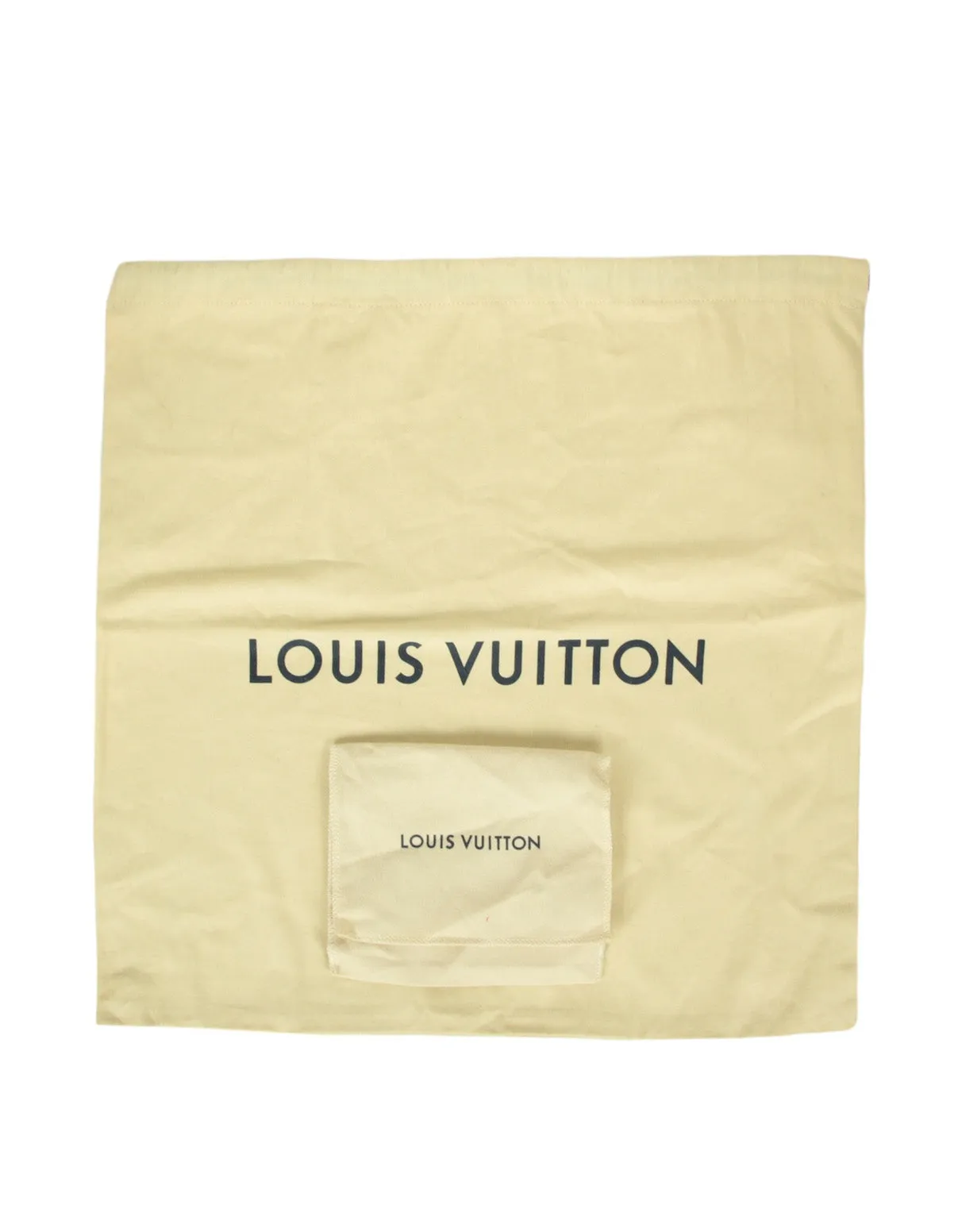 Louis Vuitton Storm Blue Embossed Monogram Coussin PM