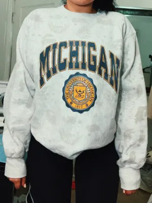 Michigan Vintage