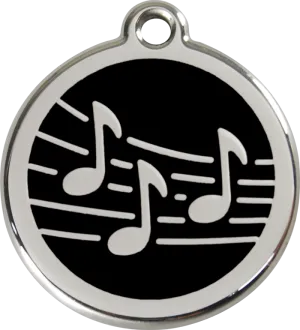 Music ID Tag