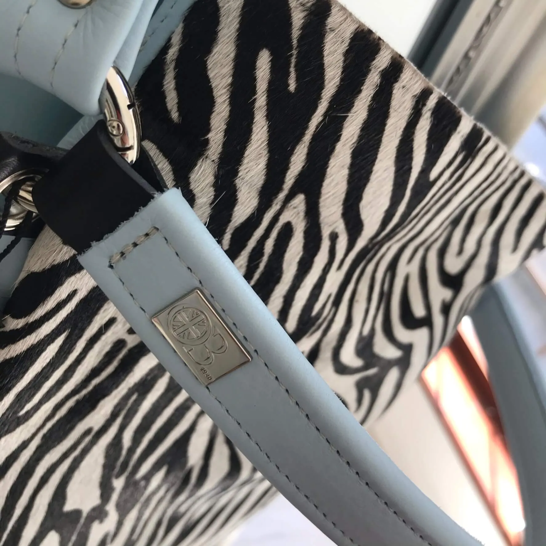Owen Barry Iggy Leather Bag - Mini Zebra Kos Blue