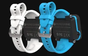 *Peregrine strap
