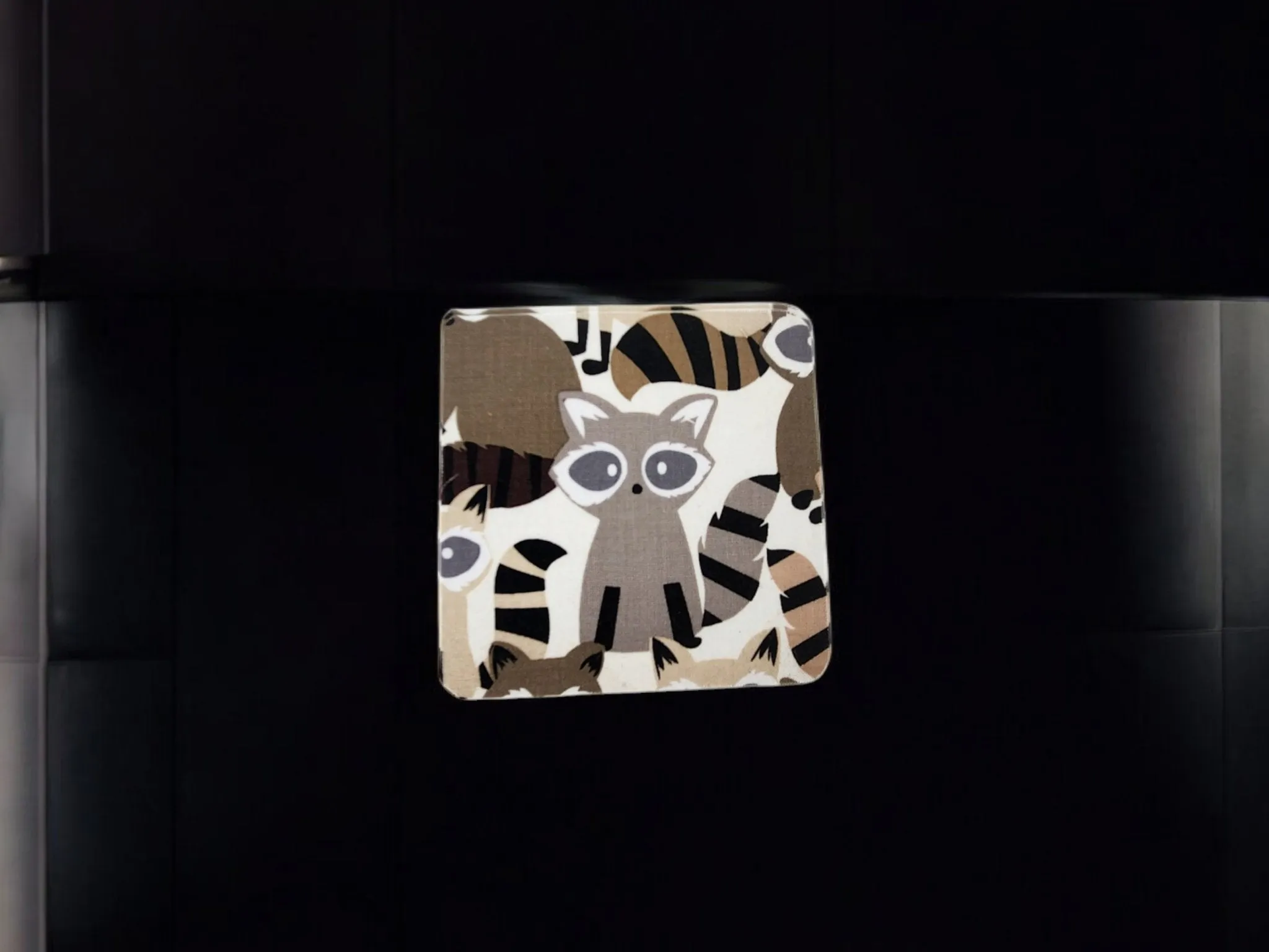 Raccoon desk set, mouse pad, coaster