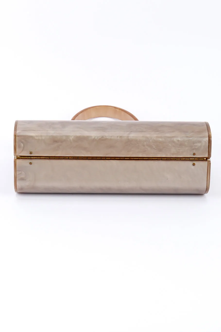 Ribbed Pearlescent Lucite Case Bag