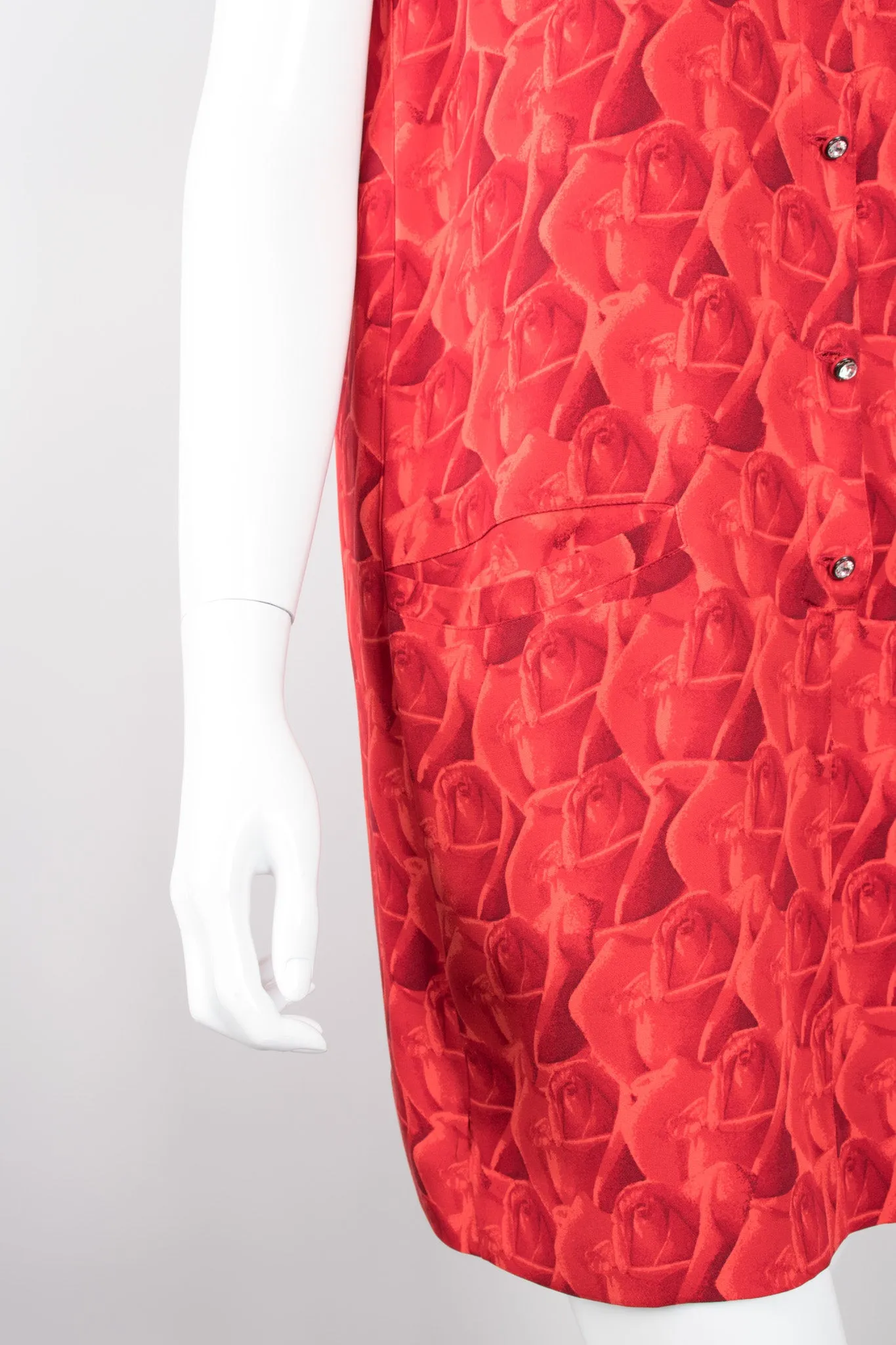 Rose Print Dress