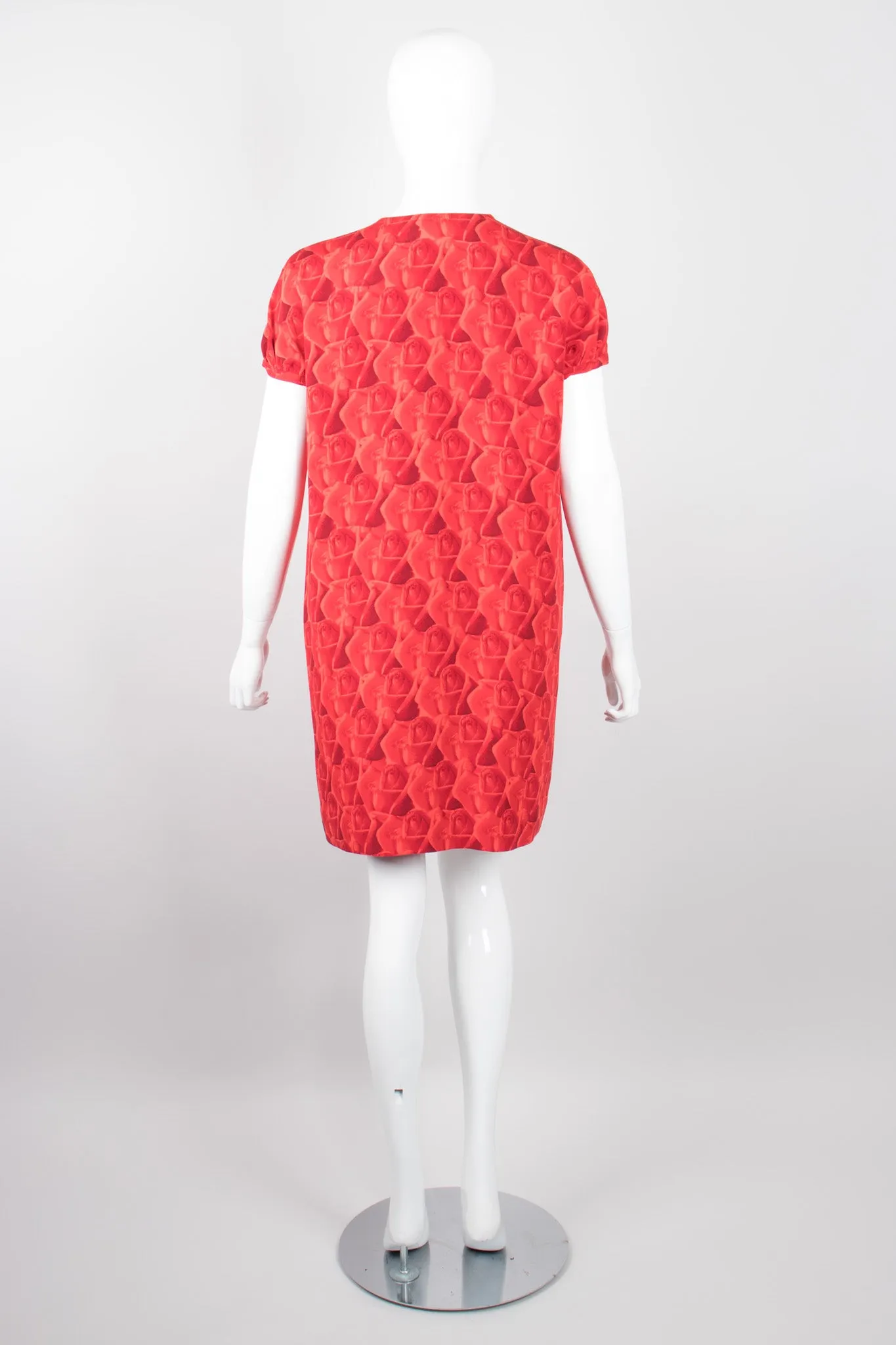 Rose Print Dress