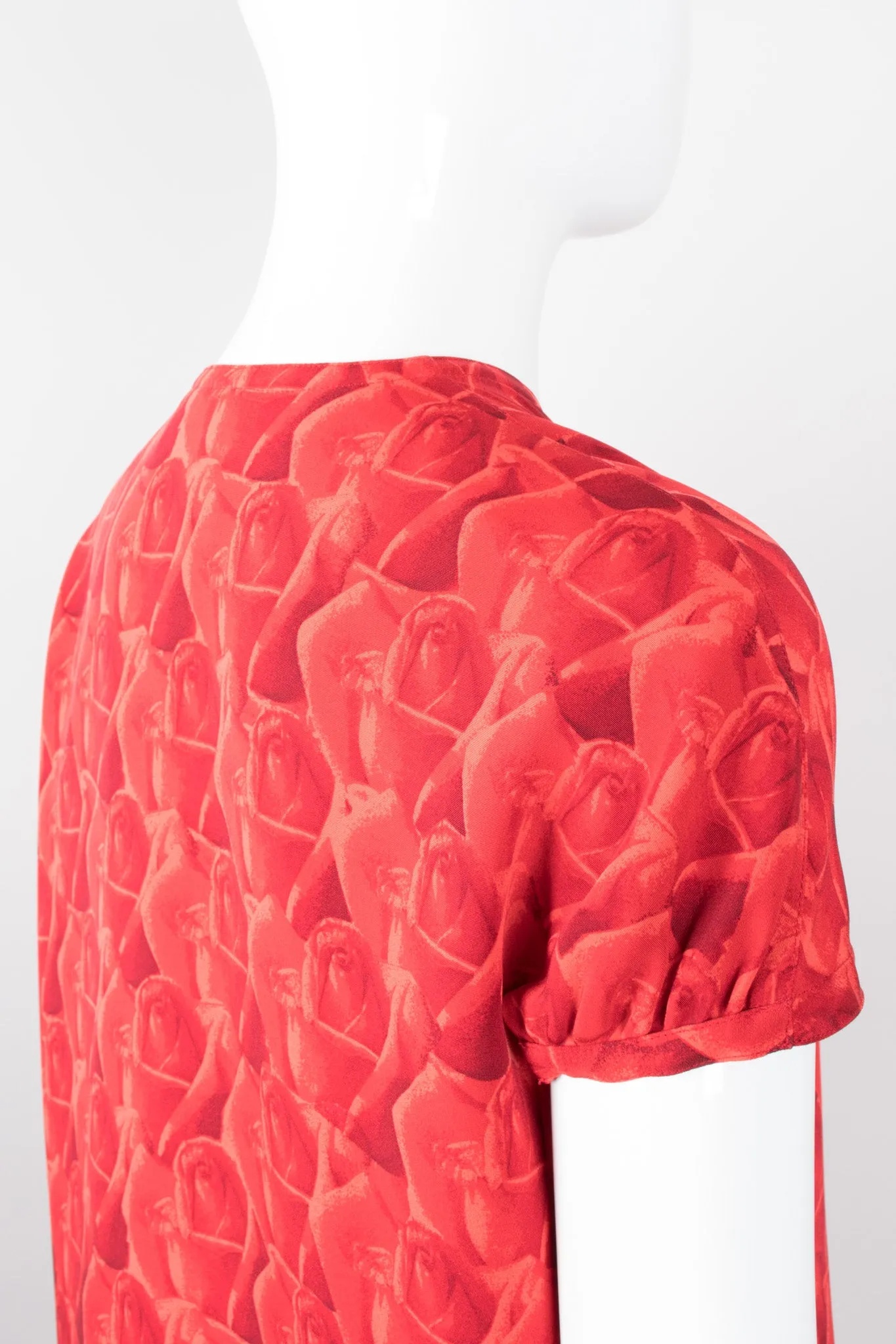Rose Print Dress