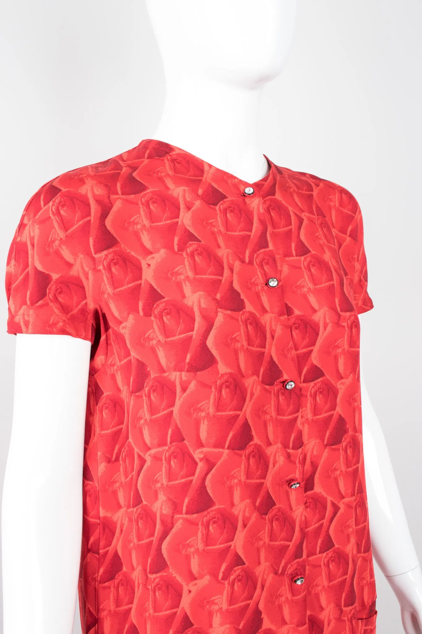 Rose Print Dress