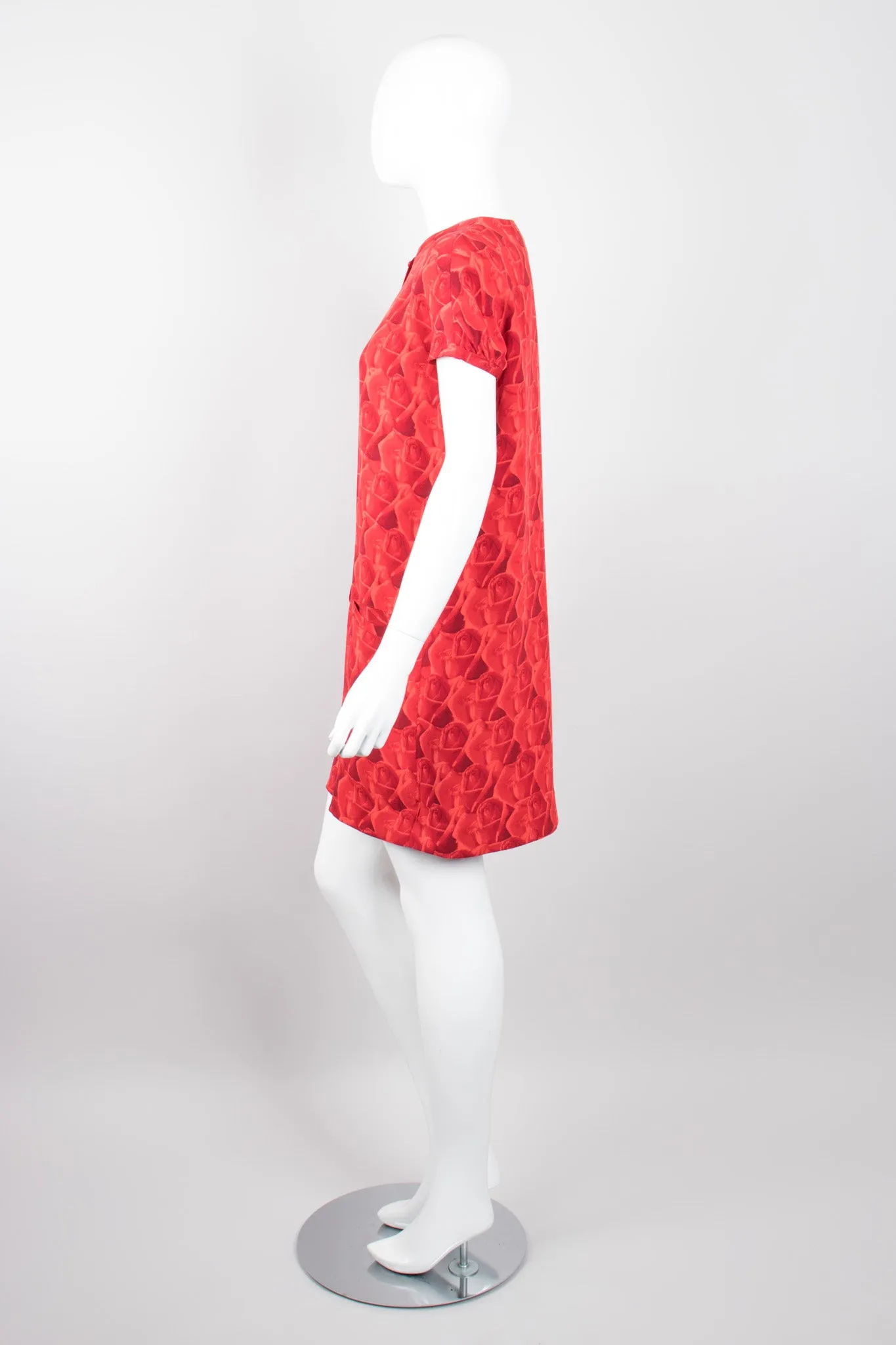 Rose Print Dress
