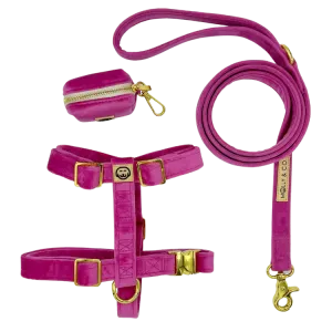 Rose Velvet - Walking Bundle