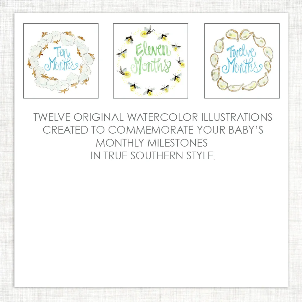 Southern Baby Milestone Cards