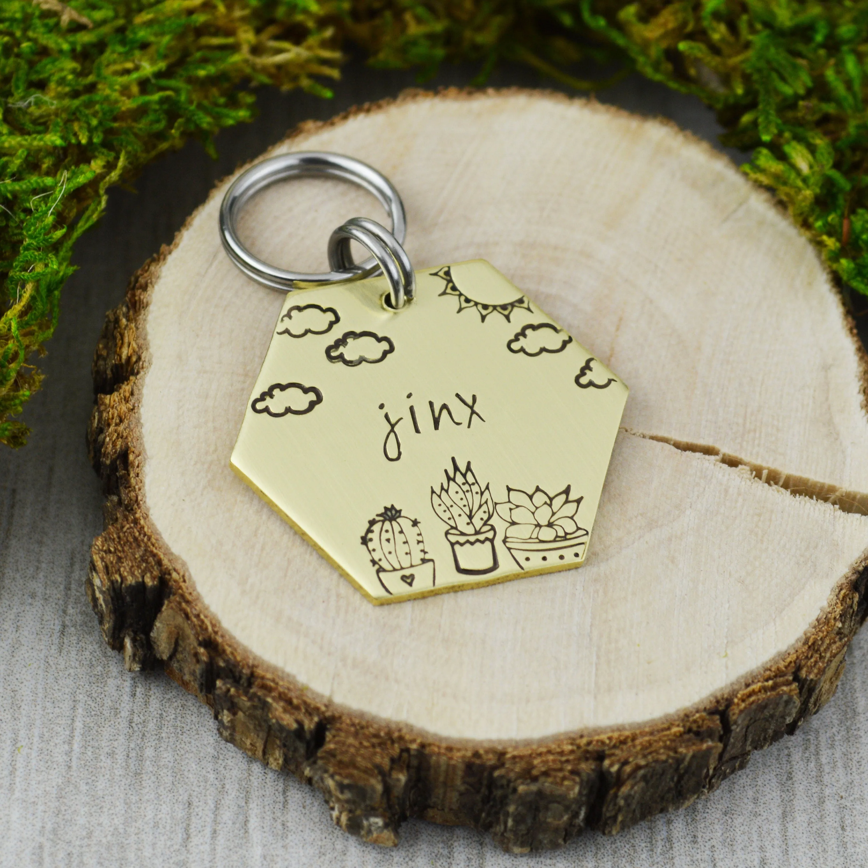 Succlulents Pet ID Tag