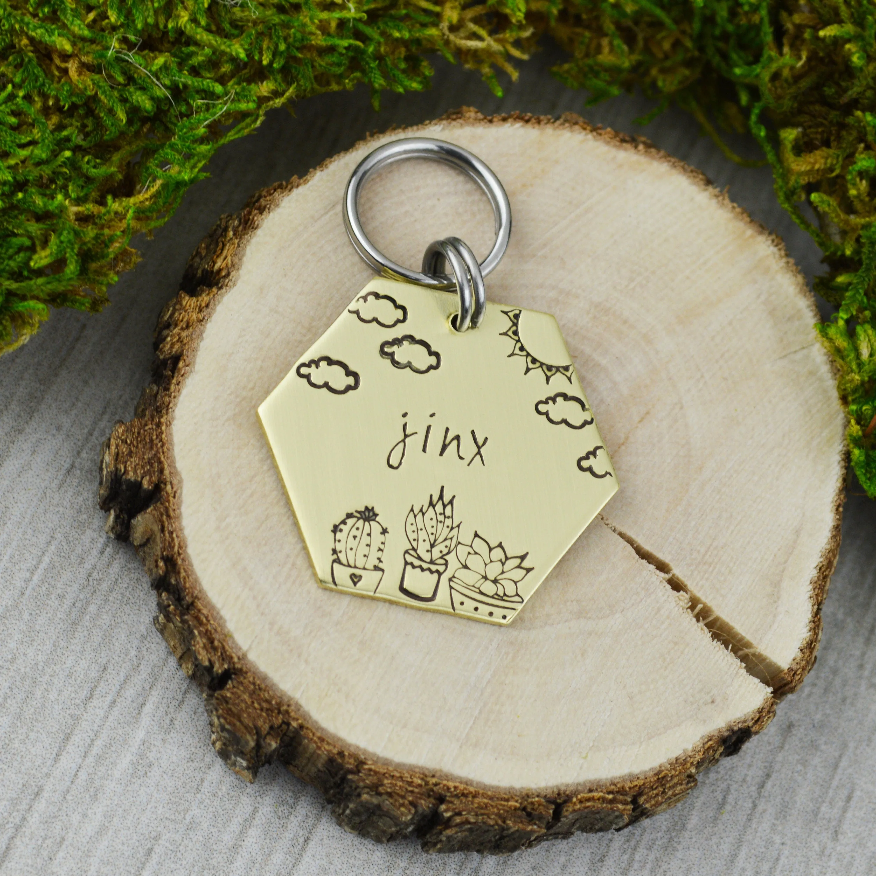 Succlulents Pet ID Tag