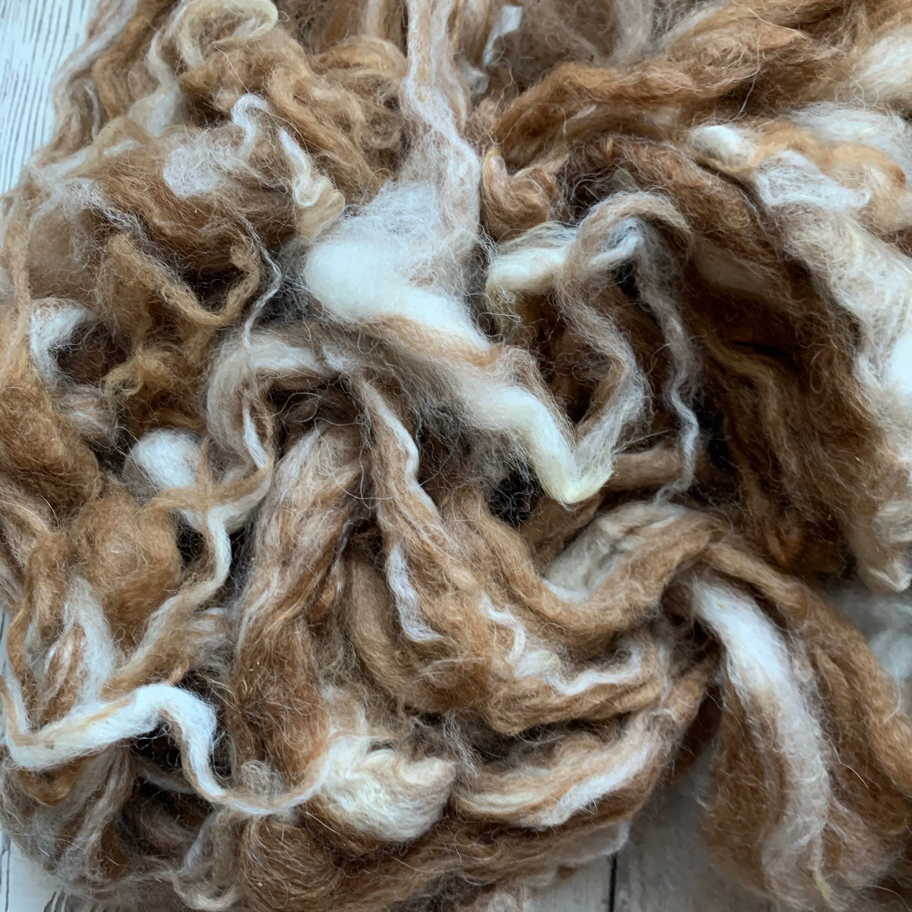 Washed Raw Fiber BABY ALPACA - Appaloosa (fawn and white)  from "PEACHES & CREAM"  4 oz